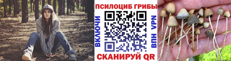 kraken онион Людиново Галлюциногенные грибы мухоморы